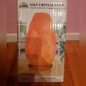 Salt Crystal Lamp Air Freshener Purifier Himalayan Glow Orange